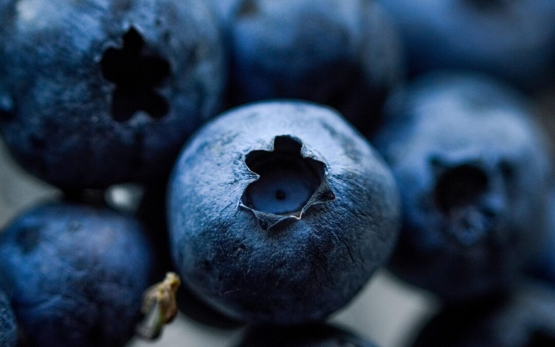 El Superalimento Azul: Descubriendo el Poder Nutricional del Arándano